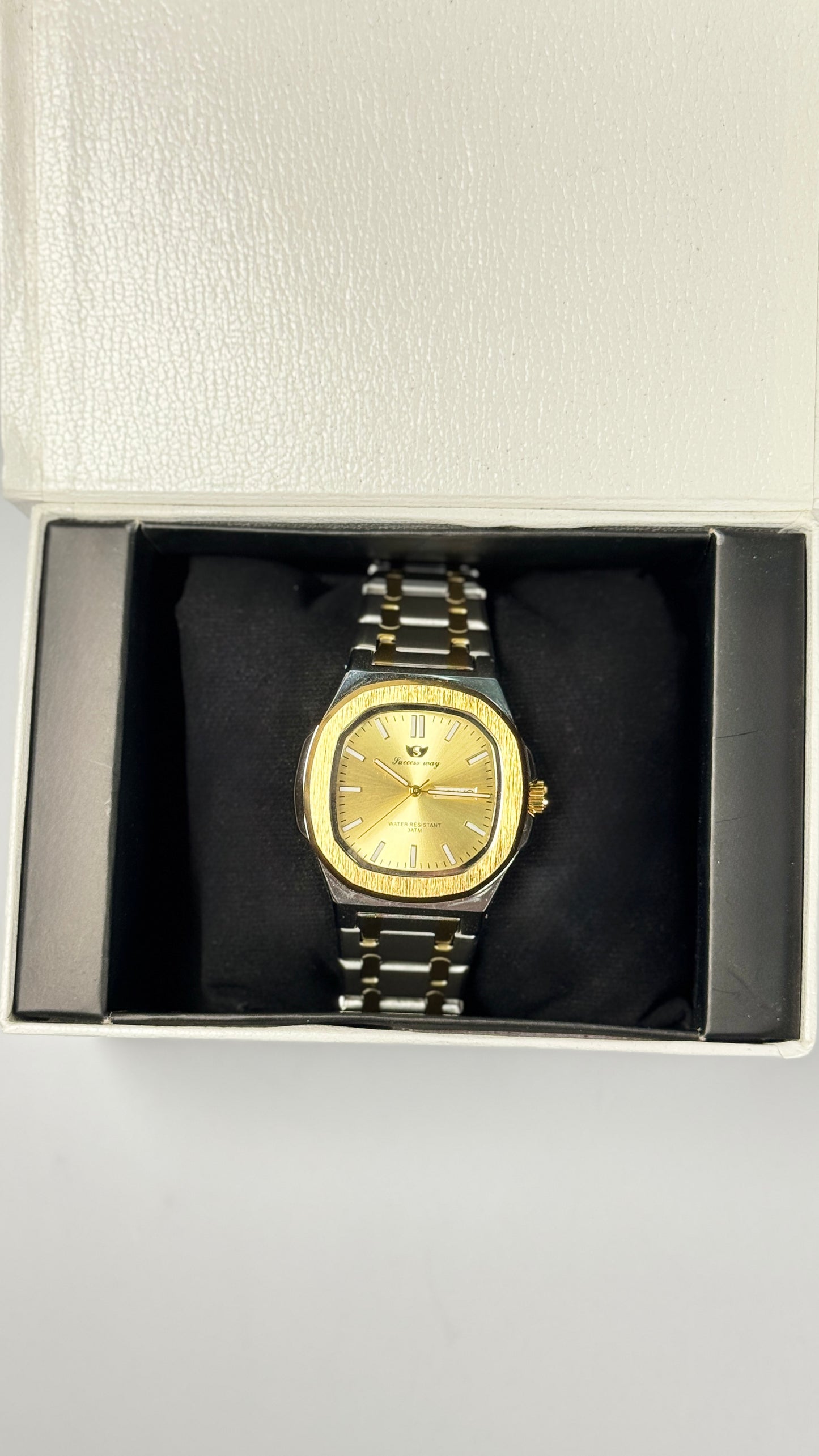 Two-Tone Men's Premium Watch